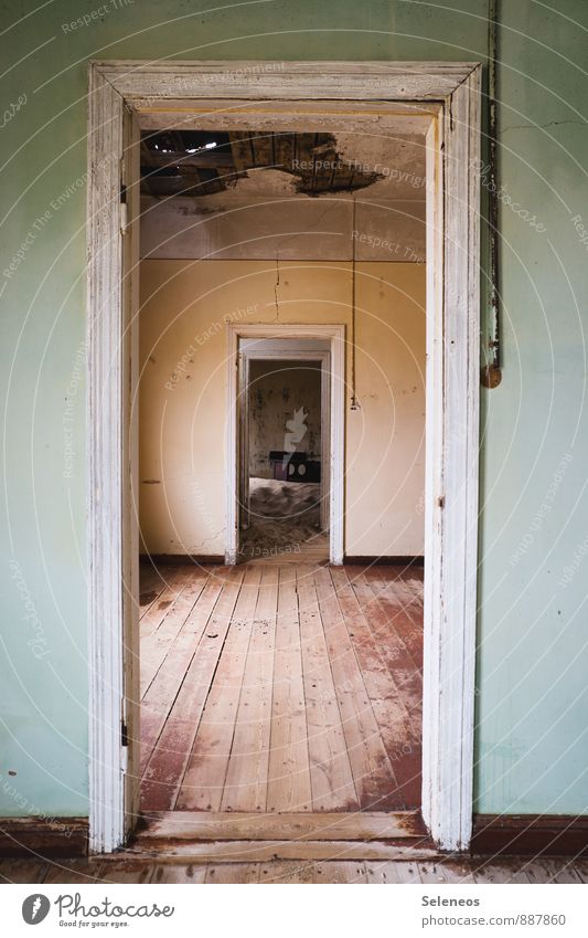 Tag der offenen Türen Häusliches Leben Wohnung Haus Renovieren Umzug (Wohnungswechsel) einrichten Innenarchitektur Raum Namibia Ruine Mauer Wand alt Gefühle