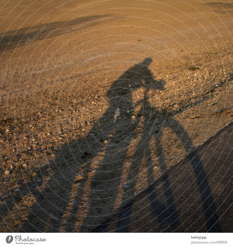 easy rider II Fahrrad Selbstportrait Motorradfahrer Feld Landwirtschaft Sonnenuntergang Fahrradtour Fahrradweg Brandenburg Mountainbike Spielen Schatten