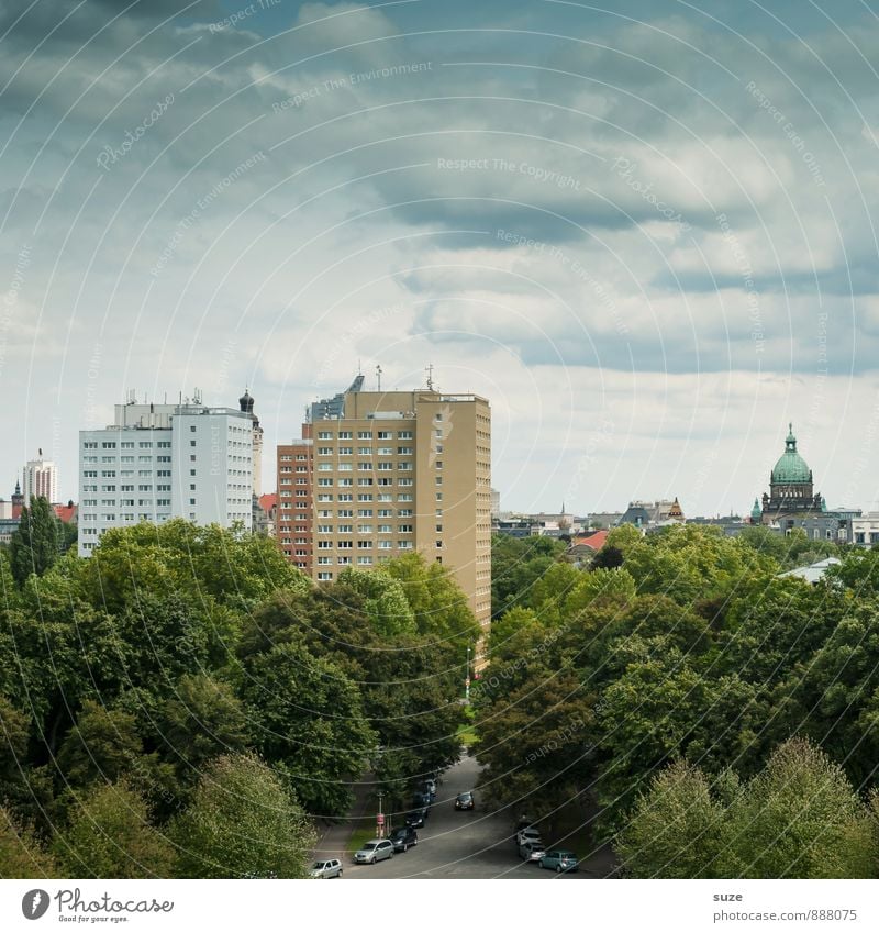 Stadtgrün ruhig Häusliches Leben Wirtschaft Umwelt Himmel Baum Park Stadtrand Hochhaus Gebäude Architektur Fassade Wachstum hoch nachhaltig Mittelpunkt