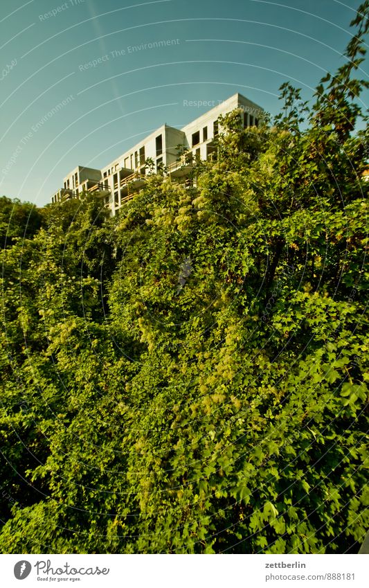 Neubau Baustelle Haus Wohnhaus Wohnhochhaus Wohnung Wohnungssuche Wohnungssituation Natur Sträucher Pflanze Baum Ast Zweig Blatt verstecken Versteck Beton