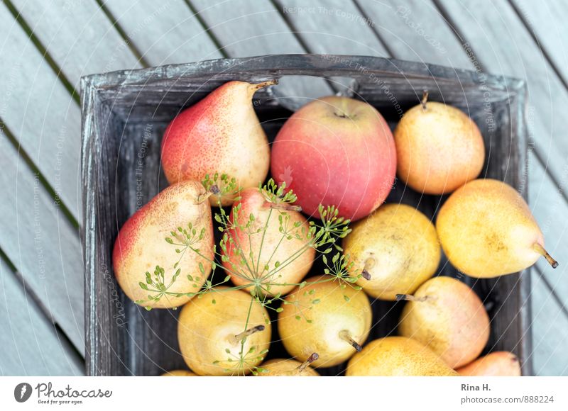 Reiche Ernte III Frucht Apfel Birne Dill Bioprodukte Vegetarische Ernährung frisch Gesundheit lecker süß Holztisch Gartentisch Landleben Farbfoto Außenaufnahme