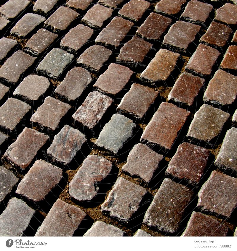 ungeteerte abstände Kopfsteinpflaster Teer leer ohne Arbeit & Erwerbstätigkeit Schliff Straßenbau Verkehrswege Handwerk cobblestone gaps abständen tar none