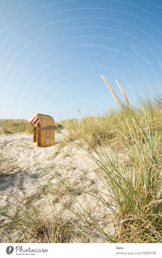 Spätsommmertag. Erholung ruhig Ferien & Urlaub & Reisen Ausflug Sommer Sommerurlaub Strand Meer Umwelt Natur Landschaft Himmel Schönes Wetter Dünengras Küste