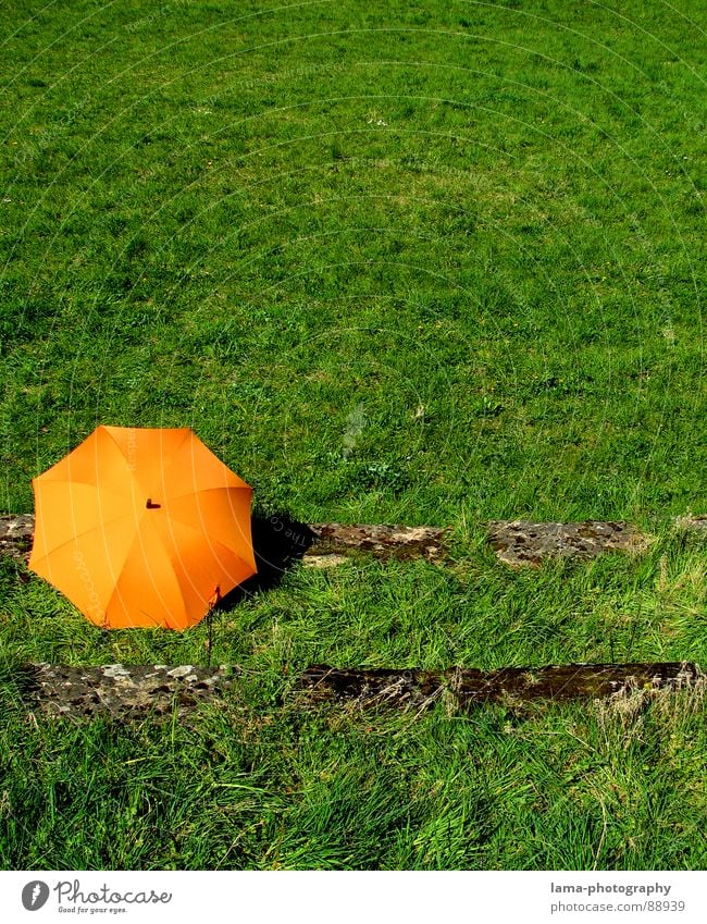 The Green Ocean Cloppenburg Regenschirm Sonnenschirm Unwetter Wolken Gras Halm Wiese Sommer Feld grün Frühling ruhig Einsamkeit Erholung Sonnenbad vergessen