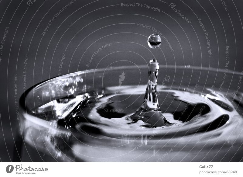 Blubb Wellen tauchen spritzen Experiment Muster Makroaufnahme Nahaufnahme Wasser Wassertropfen Bewegung Glas Flüssigkeit Klarheit fallen Trennung interferenz