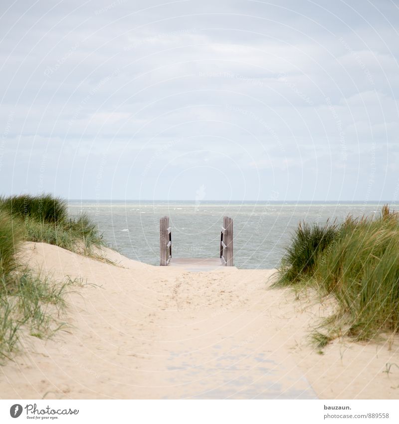 abgang ins meer. Leben Erholung ruhig Ferien & Urlaub & Reisen Tourismus Ausflug Ferne Freiheit Natur Landschaft Sand Himmel Wolken Klima Wetter Gras Wellen