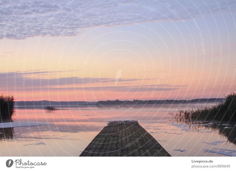 am Ruderhaus auf Rügen Ferien & Urlaub & Reisen Freiheit Sommer Sonne Insel Umwelt Natur Landschaft Pflanze Wasser Himmel Wolken Sonnenaufgang Sonnenuntergang