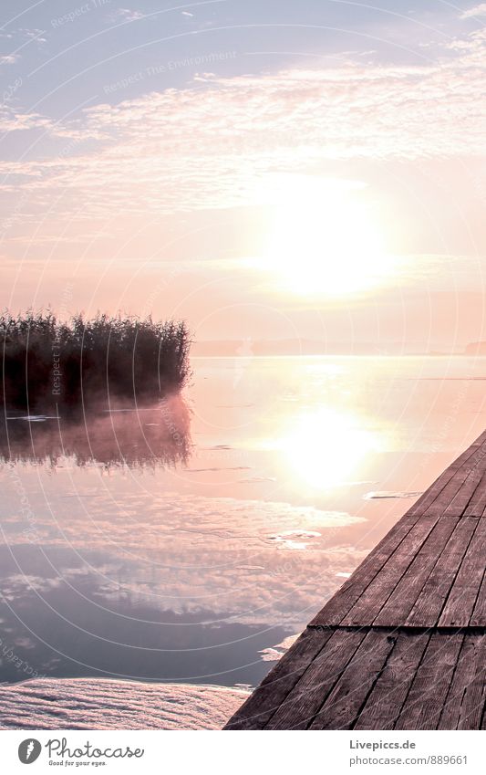 am Ruderhaus auf Rügen Ferien & Urlaub & Reisen Freiheit Sommer Sonne Insel Umwelt Natur Landschaft Pflanze Wasser Himmel Wolken Sonnenaufgang Sonnenuntergang