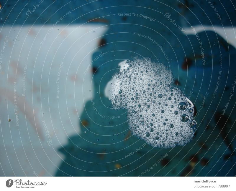 Bläschenbildung klein mehrere Speichel Ekel Biologie Verbundenheit Außenaufnahme obskur Makroaufnahme Nahaufnahme Blase viele blau Wasser Regen Schatten skuril