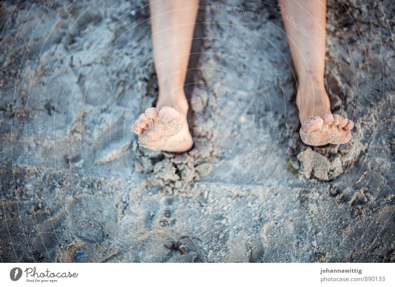 sommer Wellness Wohlgefühl Erholung ruhig Sommer Sommerurlaub Strand feminin Leben Fuß 1 Mensch Natur Erde Schönes Wetter genießen liegen