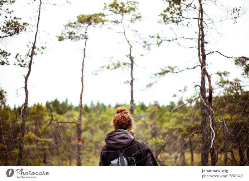 wherever you are feminin Jugendliche Leben Kopf Haare & Frisuren Umwelt Natur Landschaft Herbst Wald Moor Sumpf genießen laufen rennen Blick wandern authentisch