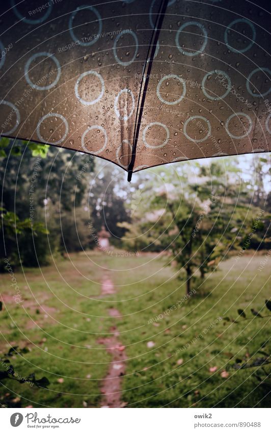 Peace | Es pieselt schon wieder Umwelt Natur Landschaft Pflanze Sommer schlechtes Wetter Regen Baum Gras Grünpflanze Park Wiese Wege & Pfade Regenschirm kalt