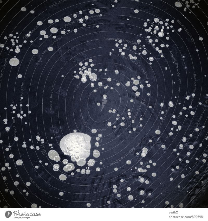 Sternbild Umwelt Natur Winter Eis Frost frisch Zusammensein kalt verrückt geduldig ruhig Idylle komplex Kunst Ordnung Präzision rein Rätsel Zusammenhalt