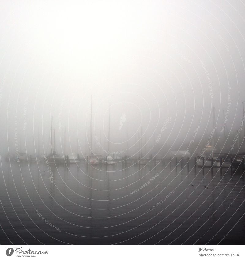 Flensburger Förde Umwelt Natur Landschaft Wetter schlechtes Wetter Nebel Regen gefährlich Nervosität Hafen Hafenstadt Wasserfahrzeug Segelboot Segelschiff