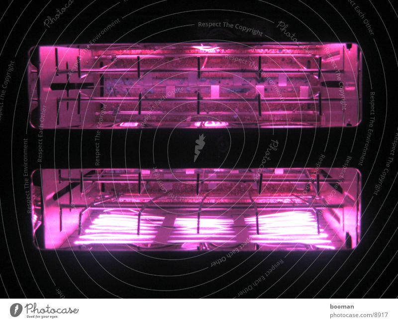 toaster Licht glühen Makroaufnahme Haushalt dunkel Nacht Fototechnik hell