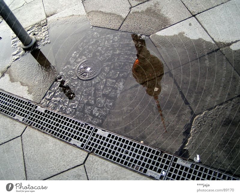 internationaler tag des berliner fernsehturms Alexanderplatz Pfütze Reflexion & Spiegelung Kopfstand Kopfsteinpflaster Platz Asphalt Beton Berlin Wahrzeichen