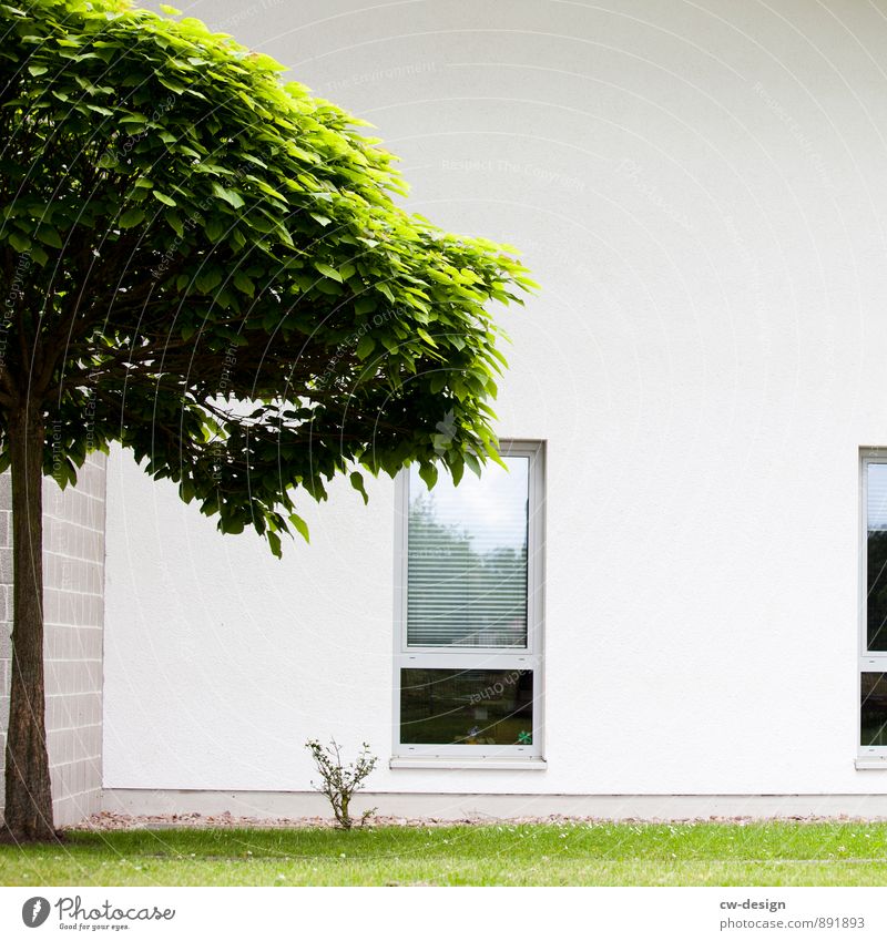 Moderne Architektur Umwelt Natur Schönes Wetter Baum Gras Garten Kleinstadt Stadt Menschenleer Haus Bauwerk Gebäude Mauer Wand Fassade Fenster hell trendy kalt