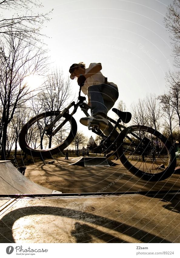 up in the sky - II Himmel springen fahren Fahrrad Mountainbike Aktion Sport Stil Jugendliche Physik Sommer Baum Sportpark Park Vergnügungspark Funsport aufwärts