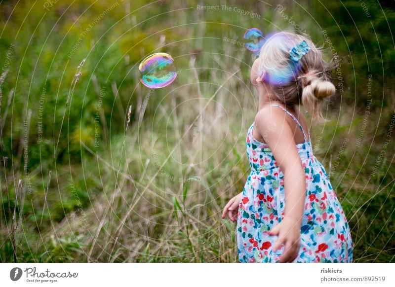 seifenblasen fangen Mensch feminin Kind Mädchen Kindheit 1 3-8 Jahre Umwelt Natur Pflanze Sommer Herbst Schönes Wetter Garten Park Wiese Feld beobachten