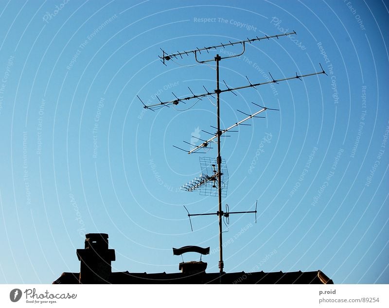 über den dächern. Antenne Haus Dach Fernsehen Backstein Sender Top Sommer Himmel Schornstein Klarheit blau roof Skyline Silhouette