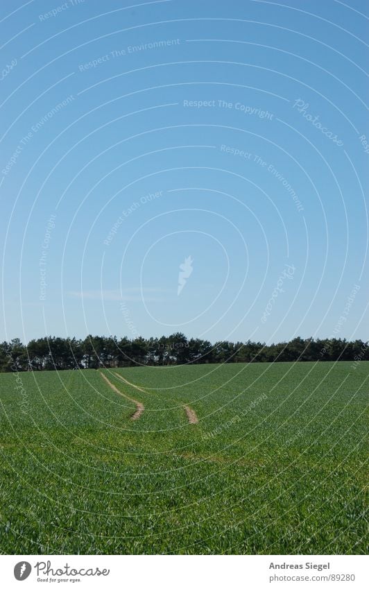 Vom Erdboden verschluckt Feld Wiese Fußweg grün Gras Wald spurlos ratlos Gallun Frühling schön April Schönes Wetter Spuren Wege & Pfade Himmel blau verloren