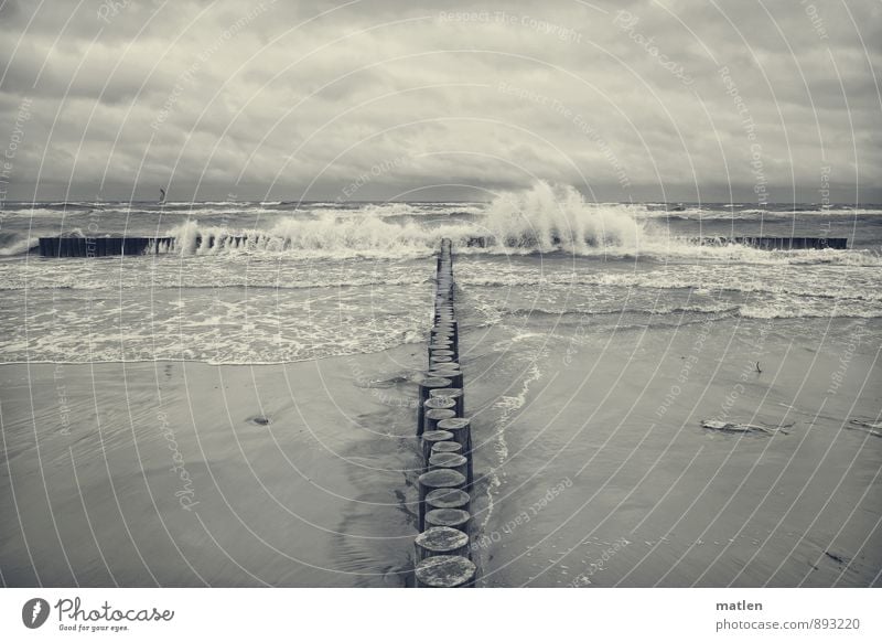 Wellenbrecher Natur Landschaft Urelemente Sand Wasser Himmel Wolken Horizont Frühling Wetter schlechtes Wetter Wind Küste Strand Ostsee Menschenleer schwarz