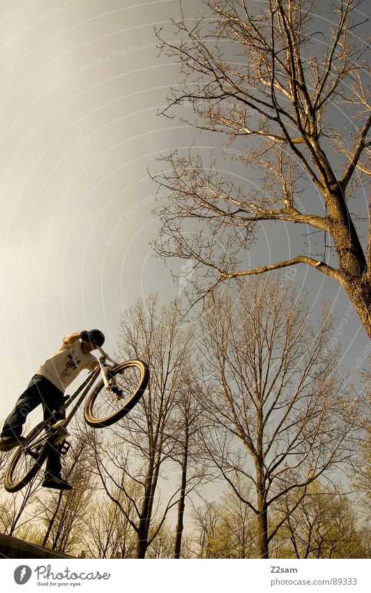 up in the sky III Himmel springen fahren Fahrrad Mountainbike Aktion Stil Jugendliche Physik Sommer Baum Sportpark Park Vergnügungspark Funsport aufwärts dirt