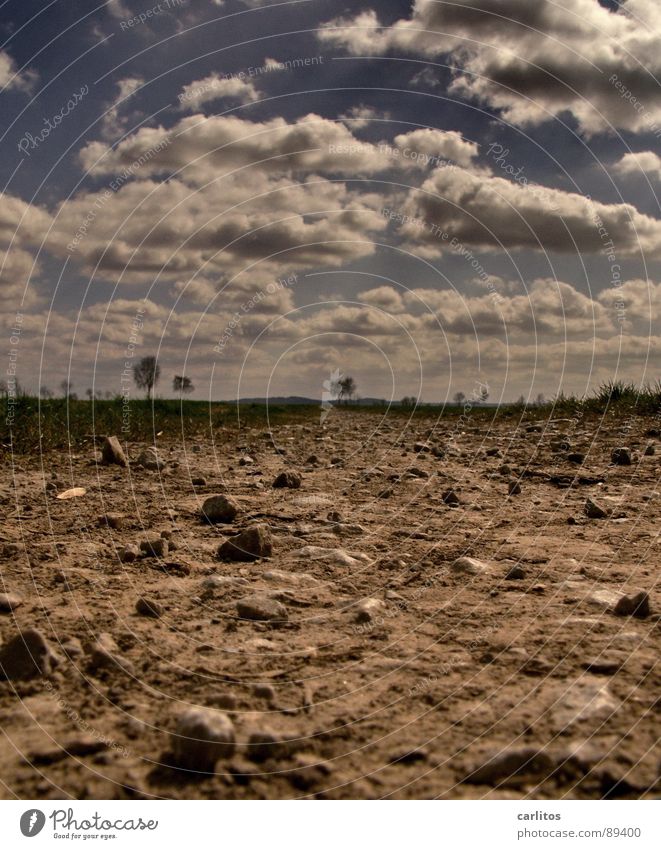 WASSER ...ich brauch' Wasser Steppe trocken Dürre verdursten Kies Geröll Einsamkeit vergessen verloren Aussiedler Einsiedler Froschperspektive Horizont Wolken