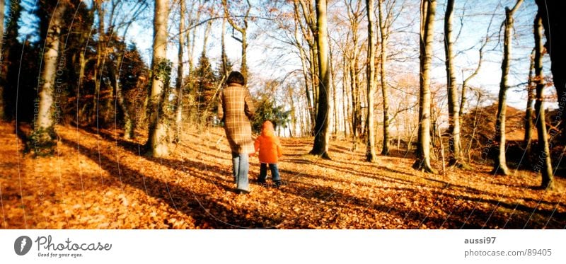 Herbstspaziergang Blatt Baum Wald Panorama (Aussicht) Mutter Kind Laubfall Spaziergang Herbstblues Blues groß Panorama (Bildformat) Traurigkeit