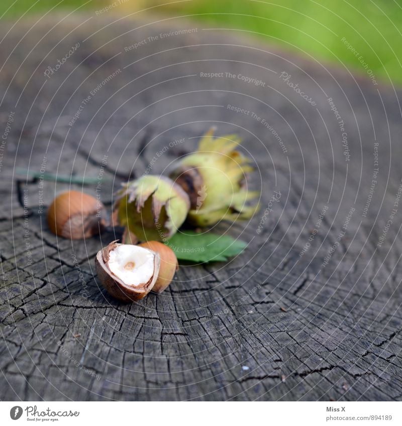 Nuss Lebensmittel Frucht Ernährung Bioprodukte Vegetarische Ernährung Gesunde Ernährung Herbst Blatt Holz lecker braun Haselnuss Haselnusskern Kerne Baumstamm