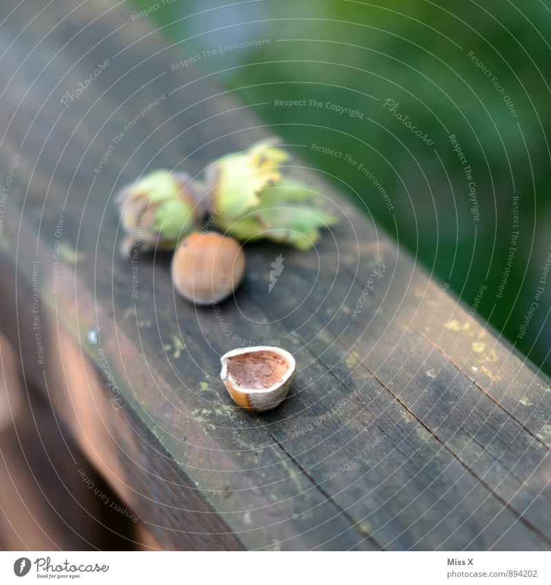 Angefressen II Lebensmittel Frucht Ernährung Essen Garten Herbst Blatt Holz Gesundheit lecker Haselnuss leer aufgegessen Eichhörnchen angefressen Nuss