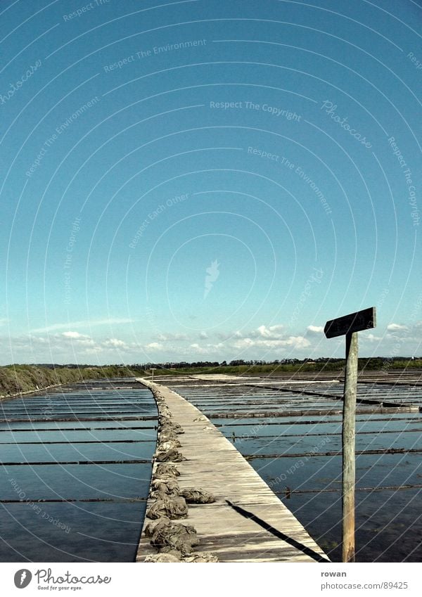 Hier lang! gekrümmt Steg Holz Richtung Orientierung Saline kommen Meer Raster Hinweisschild Wege & Pfade Pfeil Schilder & Markierungen Becken Salz Entsalzen