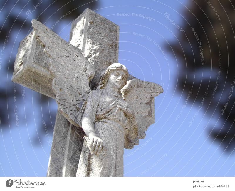 versteinert Friedhof Grab Beerdigung Statue Steinstatue heilig Trauer Hoffnung grau Religion & Glaube Ewigkeit Frieden Angelrute Gotteshäuser Verzweiflung