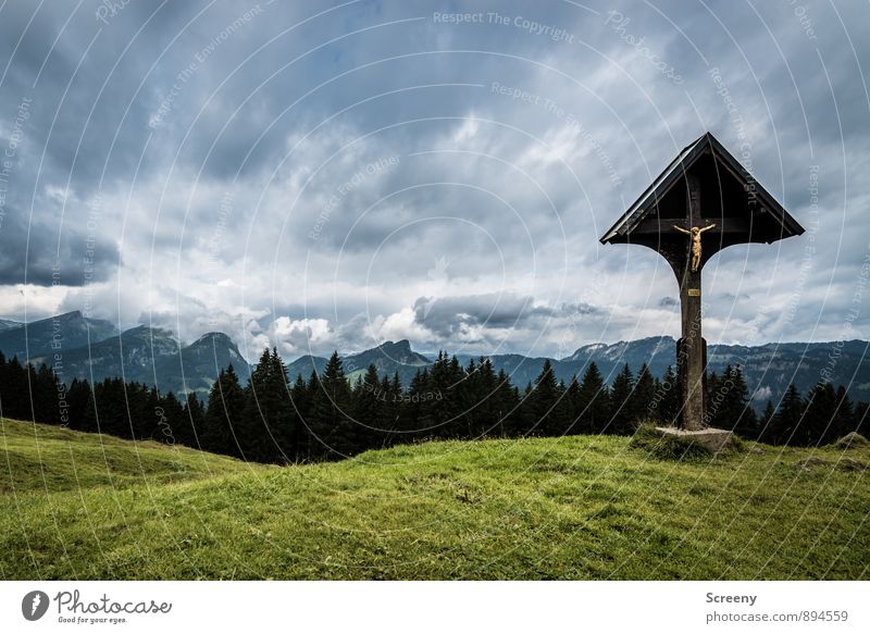 Dem Himmel nahe... Ferien & Urlaub & Reisen Tourismus Ausflug Berge u. Gebirge wandern Natur Landschaft Wolken Sommer schlechtes Wetter Wiese Wald Hügel Alpen