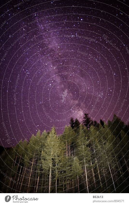 I´m so small Natur Landschaft Himmel Stern Wald Alpen Blick leuchten ästhetisch fantastisch frei gigantisch Unendlichkeit stark viele violett weiß schön ruhig