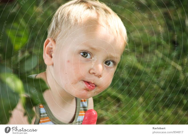 Neugier und Zucker Lebensmittel Speiseeis Ernährung Essen Glück Gesundheit Kinderspiel Muttertag Kindererziehung Kindergarten lernen Mensch maskulin Kleinkind