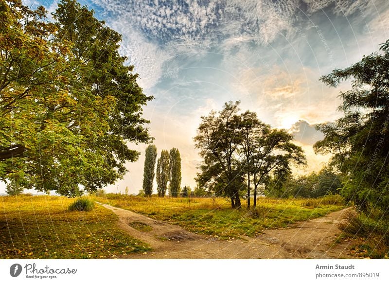 Hommage an Thomas Gainsborough Natur Landschaft Himmel Wolken Sonne Sonnenlicht Herbst Schönes Wetter Baum Park Wiese Wald ästhetisch fantastisch positiv schön