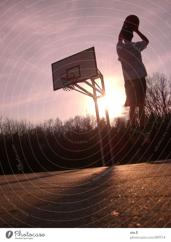 sprungbillard blenden Sonnenuntergang Schatten Baum Sträucher Asphalt Wolken rot violett Basketballkorb Basketballer springen Korb Stab Farbe Jugendliche