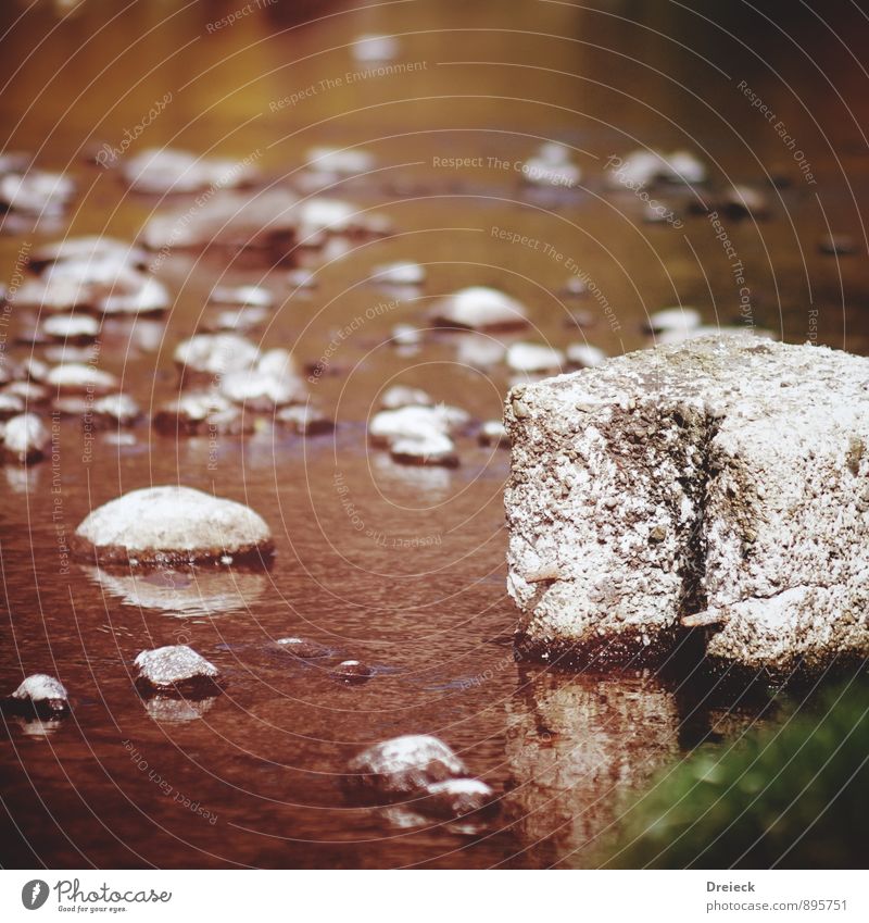 Wassermuster Umwelt Natur Sonnenlicht Frühling Sommer Park Wiese Küste Seeufer Flussufer Bucht Stein braun mehrfarbig gelb gold grau grün orange weiß Farbfoto