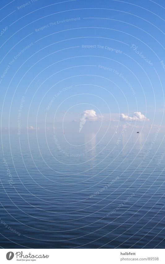 Kontakt Meer Wolken Spiegel Reflexion & Spiegelung berühren Unendlichkeit Horizont ruhig harmonisch Wetter Himmel blau tief Natur Wasser