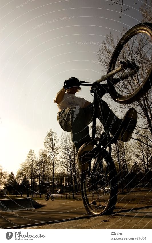 up in the sky IV Himmel springen fahren Fahrrad Mountainbike Aktion Sport Stil Jugendliche Physik Sommer Baum Sportpark Park Vergnügungspark stehen