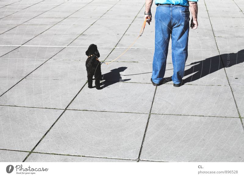 antonio geht gassi Freizeit & Hobby Mensch maskulin Mann Erwachsene Senior Leben 1 Hose Jeanshose Tier Haustier Hund Hundeleine Sympathie Freundschaft