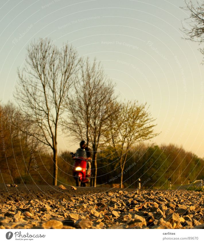 Easy Rider ... Landstraße kultig Rocker Kleinmotorrad Warnfarbe Froschperspektive Straßenrand Seitenstreifen Krötenwanderung Geschwindigkeitsbegrenzung