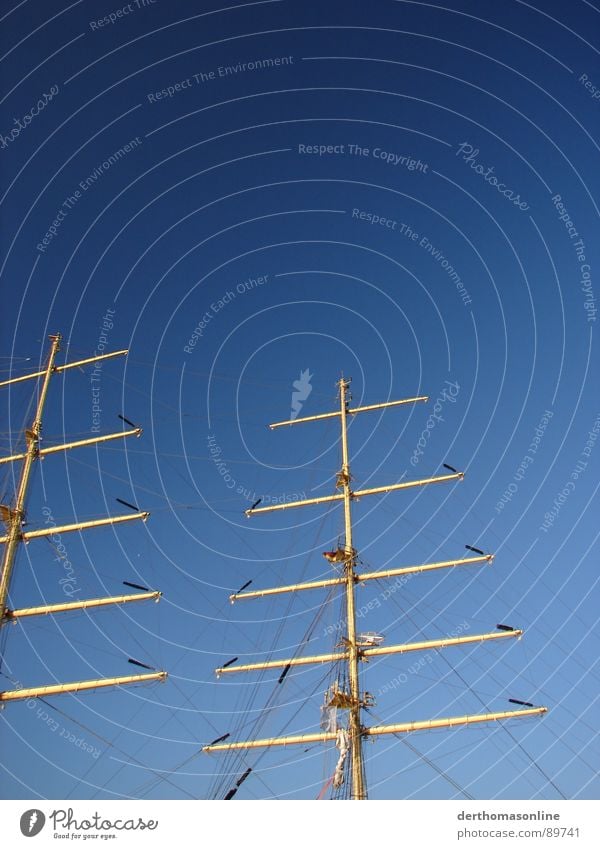 Masten Segelschiff weiß groß majestätisch anstrengen spannen Segelboot Wasserfahrzeug frisch Eindruck Pol- Filter Schifffahrt Himmel Strommast hochklettern