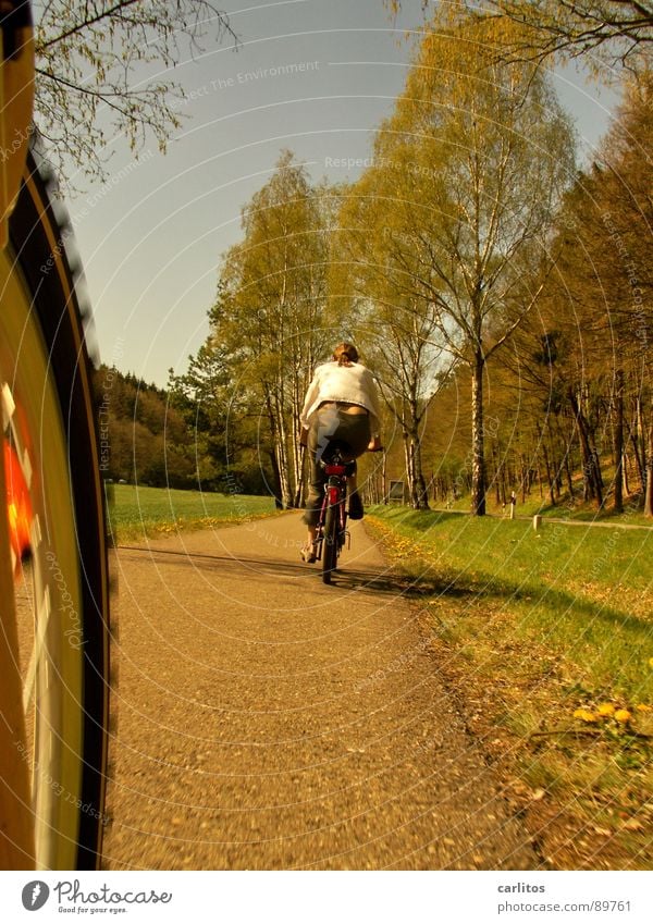 Sonntagsausflug 1 Fahrrad Ausflug Frühling Sommer Fahrradweg Allee Fahrradtour Luft Freizeit & Hobby Ausgleichssport Klima Sonnenlicht Schönes Wetter