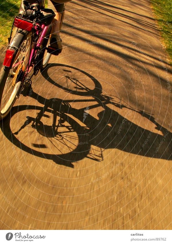 Sonntagsausflug 2 Fahrrad Ausflug Frühling Sommer Fahrradweg Fahrradtour Freizeit & Hobby Schatten Sonnenlicht Dynamik Geschwindigkeit Bewegungsunschärfe