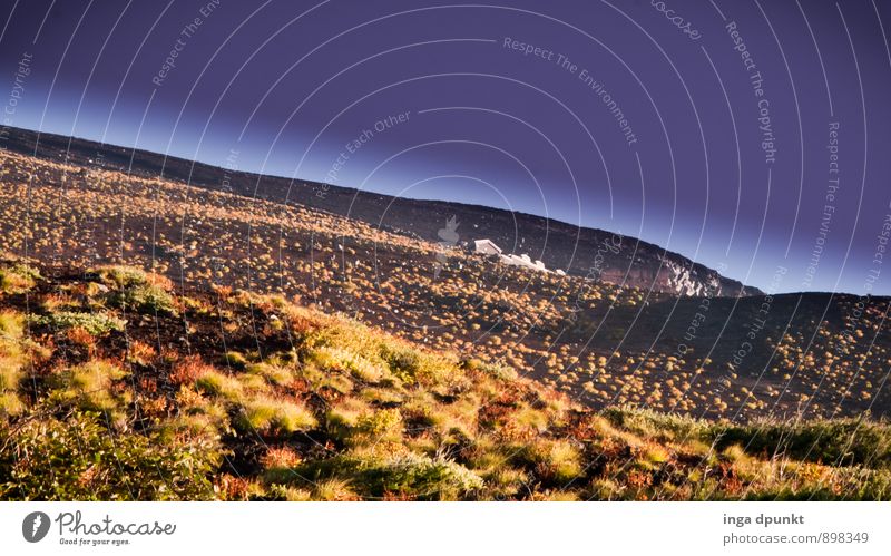 Basalt rockt! Umwelt Natur Landschaft Pflanze Urelemente Erde Herbst Klima Wetter Schönes Wetter Sträucher Wildpflanze Berge u. Gebirge Gipfel Fujijama Asien