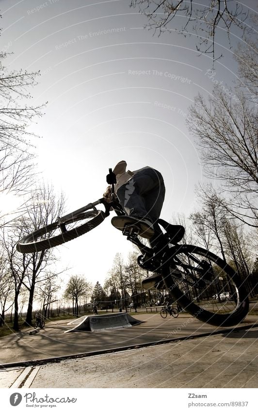 up in the sky V Himmel springen fahren Fahrrad Mountainbike Aktion Sport Stil Jugendliche Physik Sommer Baum Sportpark Park Vergnügungspark stehen Zufriedenheit