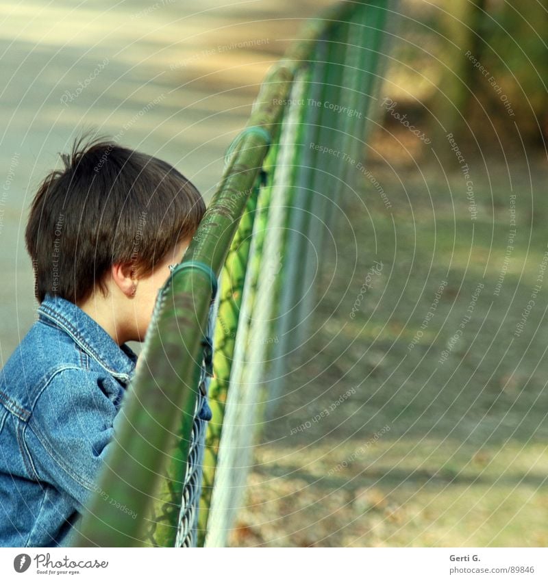 undercover aussperren abgesondert Kind Mensch Jeansjacke Zaun Gitter Grenze Barriere stoppen diagonal Gehege Zoo unsichtbar verstecken rückwärts gefangen grün