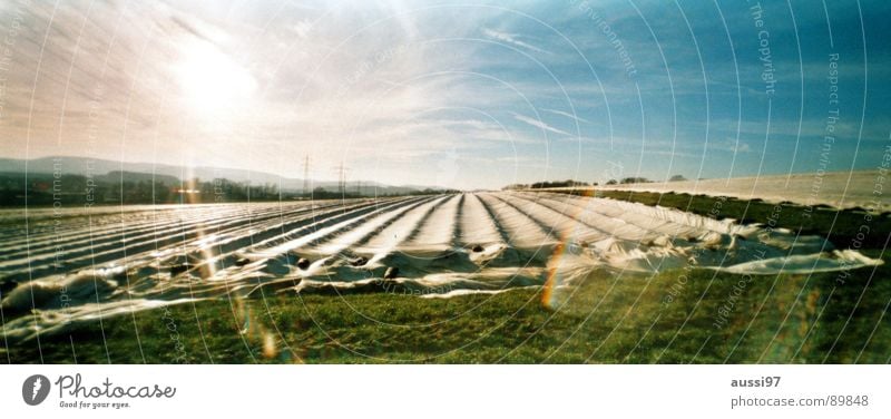 Herbstfeld II Feld Licht Gegenlicht Landwirtschaft Abdeckung Panorama (Aussicht) Arbeit & Erwerbstätigkeit groß Panorama (Bildformat)